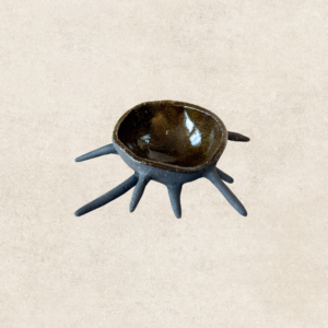 KAI Bowl Erizo